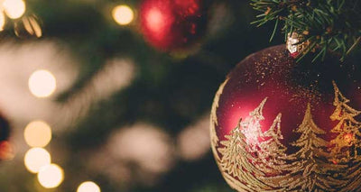 6 Reasons Why We Love Christmas (And You Should Too)!